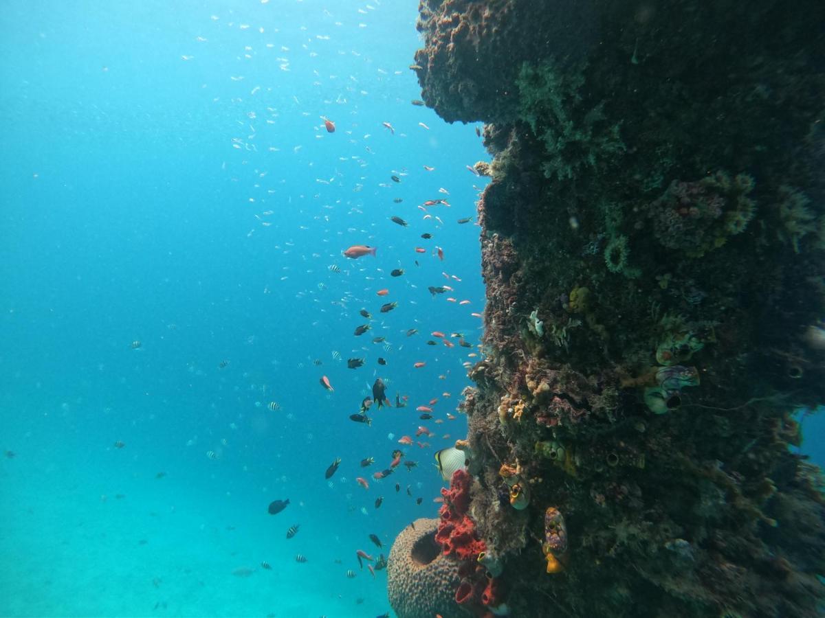 Meos Ambower Homestay Raja Ampat Fam Buitenkant foto