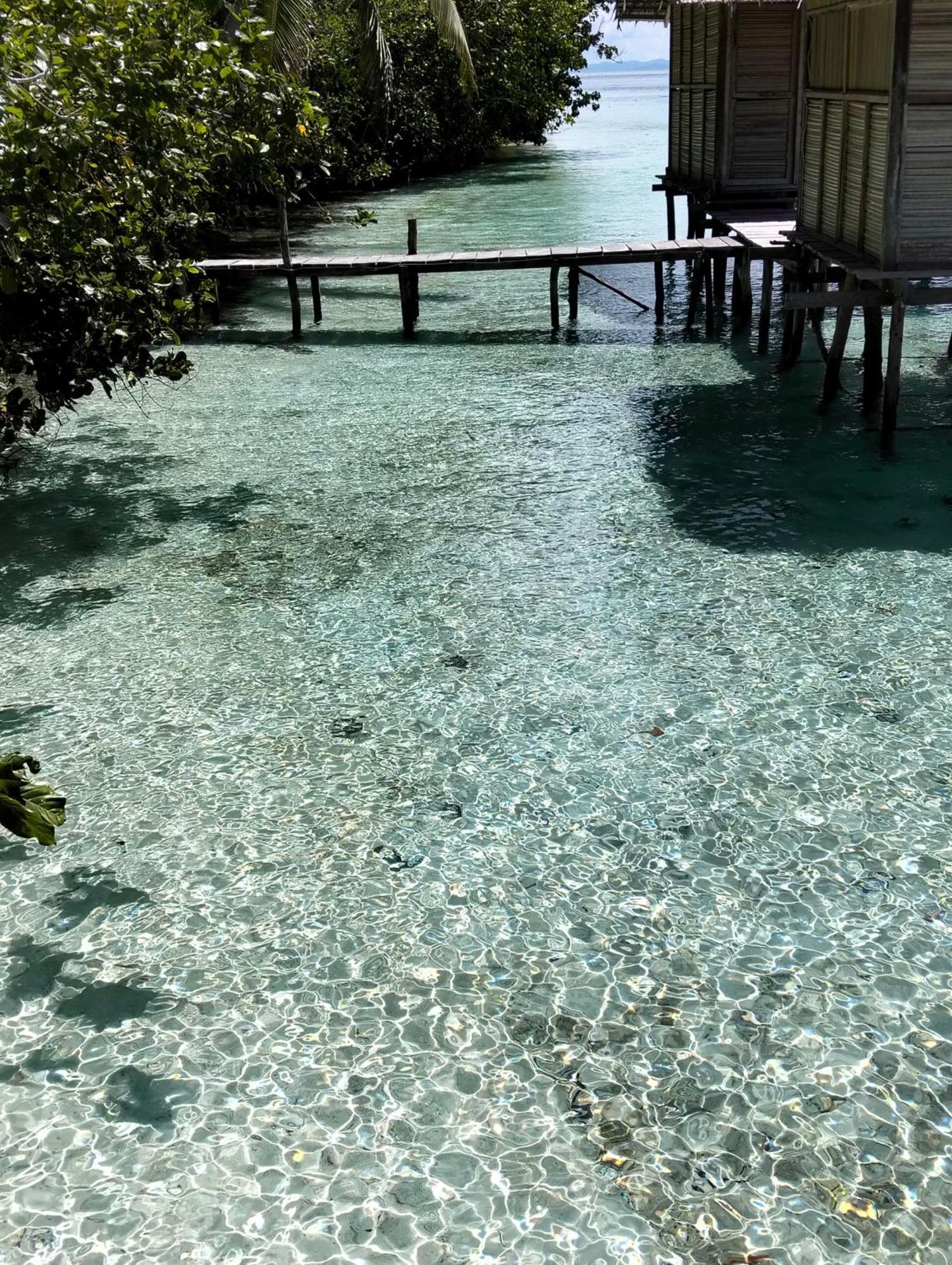 Meos Ambower Homestay Raja Ampat Fam Buitenkant foto