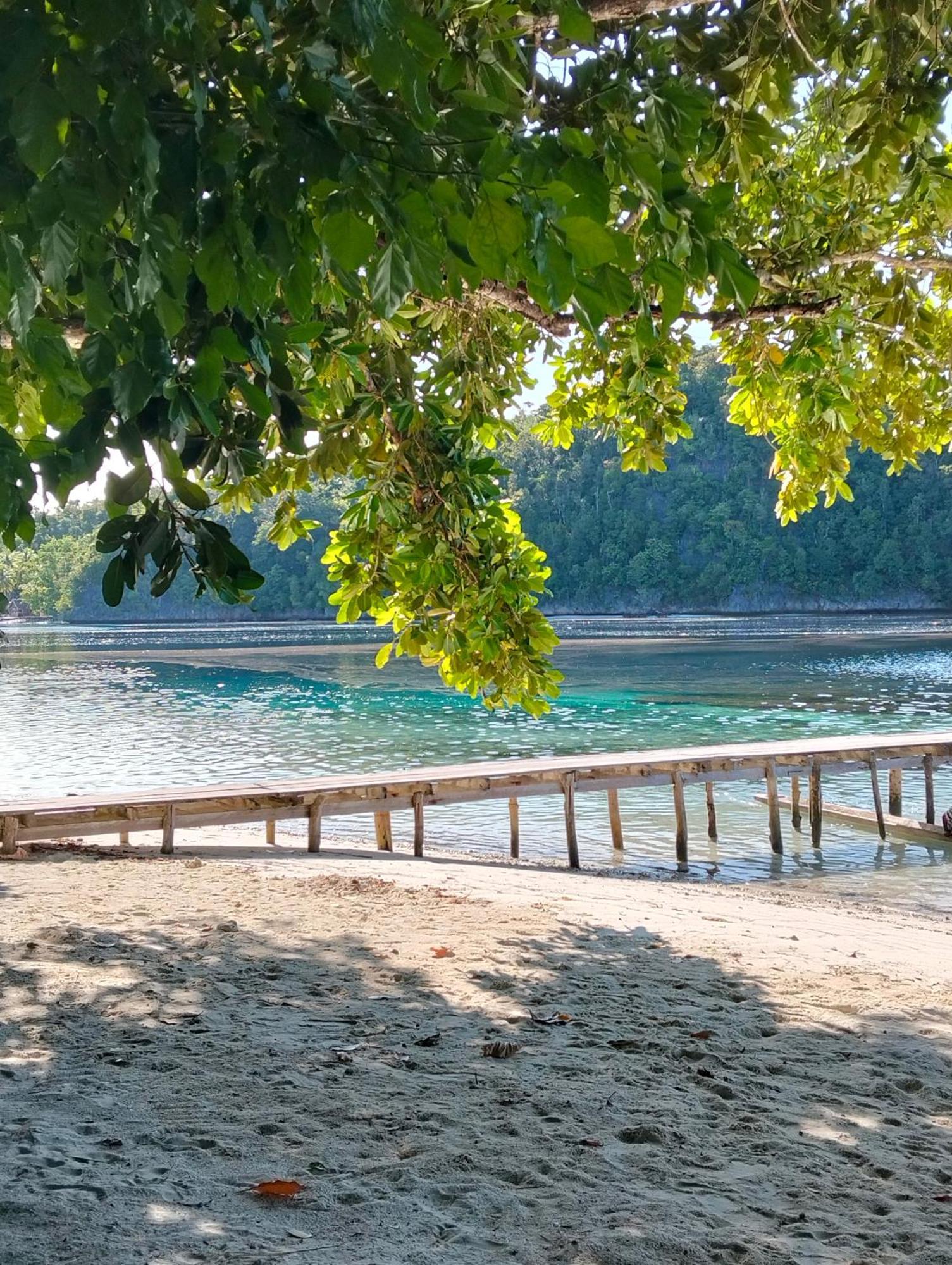 Meos Ambower Homestay Raja Ampat Fam Buitenkant foto